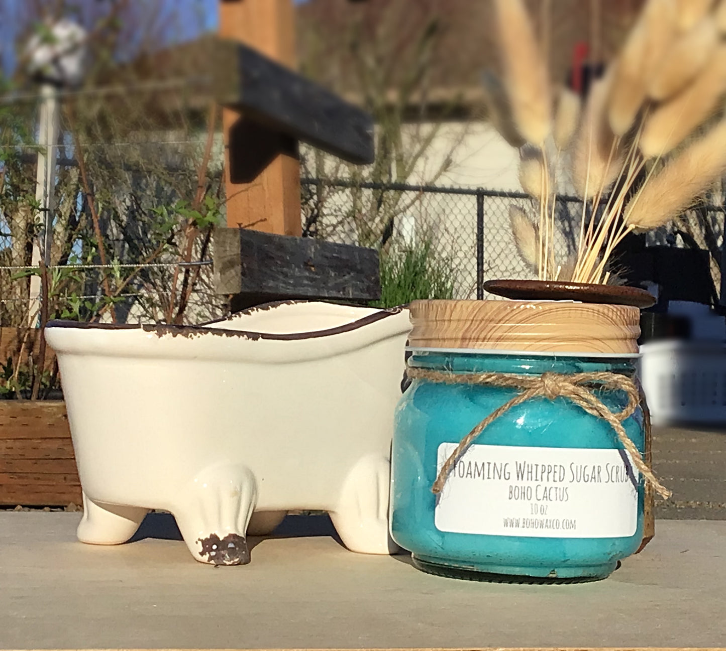 Boho Cactus Sugar Scrub